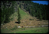 Avalanche remains, Murgsee